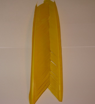 turkey biot yellow Terskibereg
